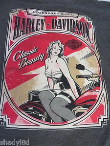 HARLEY DAVIDSON CLASSIC BEAUTY Tee Brown Legendary Build - Picture 1 of 3