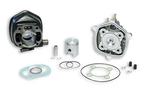 318556 THERMISCHE GRUPPE MALOSSI 50CC D.40 YAMAHA AEROX 50 2T LC EURO 2 GUSSEISEN H2O - Bild 1 von 1