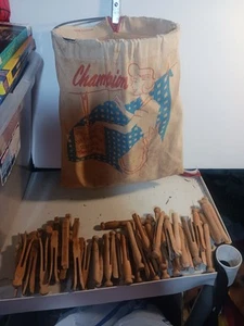 Vintage Champion Stay Open Wäscheklammertasche mit 60+ Wäscheklammern - Bild 1 von 9