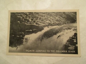 Postcard Salmon Juming on the Columbia River - Picture 1 of 2