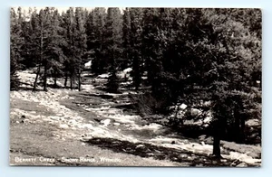 1940s RPPC Real Photo WY Postcard Berrett Creek Snowy Range Wyoming - Picture 1 of 2