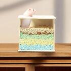 Boîte de bain de sable pour Hamster, conteneur de sable pour creuser, litière