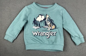 Sudadera Pullover Wrangler Niño Pequeño 24m 24 2 Crew Teal Mountain Wolf Coyote - Imagen 1 de 5