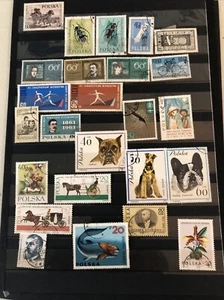 Colección de monedas extranjeras usadas en tarjetas todos los temas Europa del Este Polonia n118 - Imagen 1 de 13