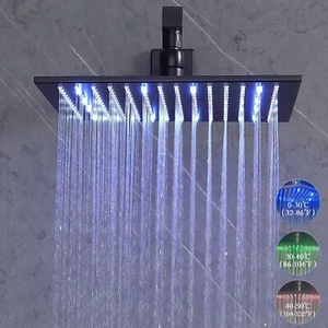 Matte Black 16-inch LED Shower Head Ceiling/Wall Mount Rainfall Overhead Sprayer - Picture 1 of 11