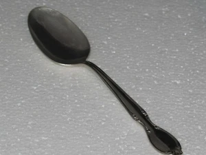 Cucharadita (s) Wm Rogers Precious Mirror International Silver - Imagen 1 de 2