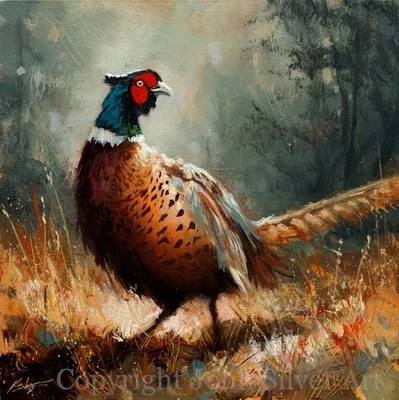 PHEASANT BIRD FINE ART PORTRAIT ORIGINAL PAINTING 30 x 30 cm by JOHN SILVER BA - Image 1 of 4