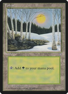 MTG Ice Age --- FOREST (380) --- Common! NM! Magic the Gathering! - Image 1 of 3