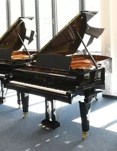 Ala Bösendorfer usata, lunghezza 212 cm, tutto nuovo - Foto 1 di 8