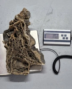 Arkansas Quarz versteinertes Gestein Lake Ouachita sehr einzigartig 17,3 Pfund - Bild 1 von 4