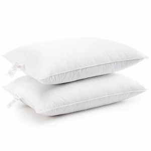 Down Alternative Pillows (Set of 2) - Multiple Sizes -By Cheer Collection - Picture 1 of 5