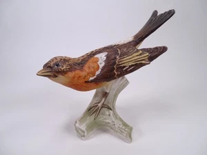 Vintage Goebel W Germany Brambling Finch  CV 86 Bird Figurine 1970's Collectable - Picture 1 of 14