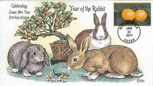 #4492, CHINESE NEW YEAR-RABBIT, COLLINS HAND PAINTED FDC Single 2011 Perfect! - Picture 1 of 1