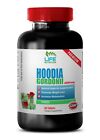 Hoodia Gordonii Kaktus 2000 mg natürlicher Gewichtsverlust & Kalorienverbrennung (1 Flasche)