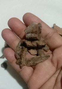 Wild Harvest Agarwood Oud Kalimantan by Oudandherbs - Picture 1 of 3