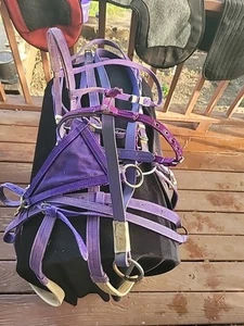 Race Horse Bridle Purple Flipping Rig 5 Pc Set Used Slightly. 💜 - Picture 1 of 10