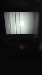 Ridgeback Bike Broken - Picture 1 of 1
