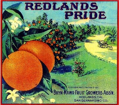 Redlands Pride Orange Citrus Fruit Crate Labe...