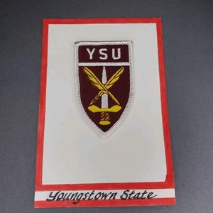 Parche YSU Youngstown State OH Ohio 3 1/4"  - Imagen 1 de 3