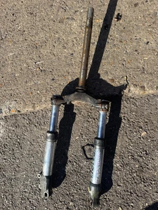 ⭐CANESÚ INFERIOR DELANTERO PEUGEOT TREKKER 50CC AMBAS HORQUILLAS PAIOLI CORREO GRATIS REINO UNIDO⭐ - Imagen 1 de 8