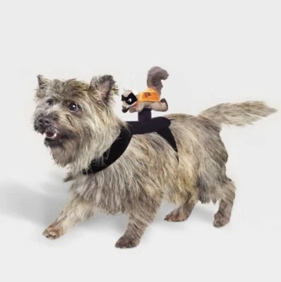 Hyde & Eek! Halloween XXS XS Disfraz de Perro Superhéroe Ardilla Jinete Nuevo Foto 1 de 4