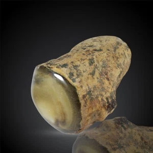 1289Gr Rare Natural Log Opalized Petrified Wood Mirror Polished Rough Specimen - Picture 1 of 15