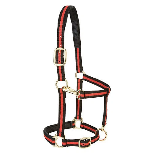 Halter ajustable acolchado de cuero Weaver Foto 1 de 1