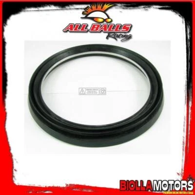 18-1079 KIT REVISIONE POMPA FRENO POSTERIORE Yamaha FZ1 1000cc 2005- ALL BALLS Foto 1 de 4