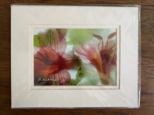 Dennis Kirkland Foto Passepartout Blumen - Bild 1 von 4