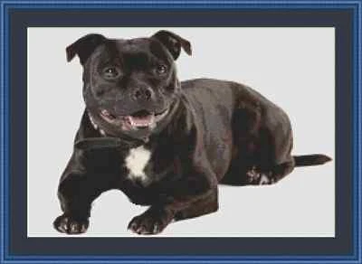Staffordshire Bull Terrier Staffie Dog Cross Stitch Kit