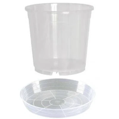 Vaso rotondo in plastica trasparente per orchidee 5 pz con fori per il drenaggio - Image 1 of 4