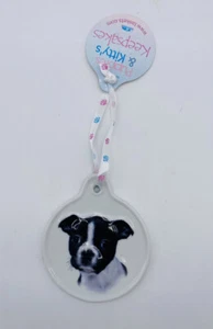 Boston Terrier Ceramic Taskets Puppies & Kitty's Keepsake Christmas Ornament New - Picture 1 of 4