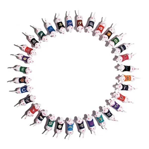 Victorias Secret Pink NFL DETROIT LIONS Mini Dog NWT - Picture 1 of 2