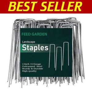 Multi-Purpose 6 Inch Galvanized Landscape Staples - 500 Count for Outdoor Decor - Picture 1 of 9
