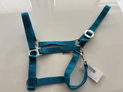 Original ShowMaster Halfter türkis Gr. COB  NEU  Pferdesport reiten - Bild 1 von 3