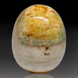 261gr PETRIFIED WOOD Egg Stone Reiki Healing Energy Decoration - Picture 1 of 6