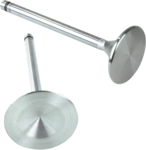 2009-2019 for Harley Iron 883 XLN S&S CYCLE Exhaust Valve 1.605" 90-2001 - Picture 1 of 1