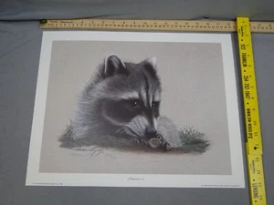 Harold Rigsby Limited Edition Racoon II Signed Numbered /950 COA - Bild 1 von 8