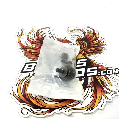 Conjunto de resorte de retención de cambio de marchas Sportster original Harley 2006-2022 33540-06 Foto 1 de 4