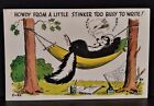Petley Laff Card, "Howdy From A Little Stinker Too Busy To Write!" Postcard