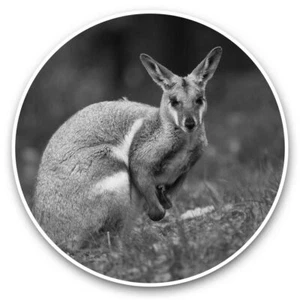 2 x Vinyl Stickers 30cm (bw) - Yellow Footed Rock Wallaby Kangaroo  #37765 - Afbeelding 1 van 8