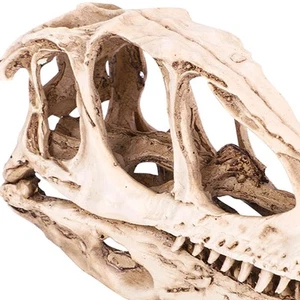 Resin Dinosaur Skull Model Decorative Skeleton Craft Home Office Display - Picture 1 of 12