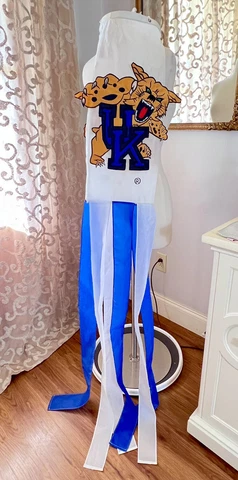 VTG University of Kentucky Wildcats Hanging Windsock UK Banner the Flag Factory Cover