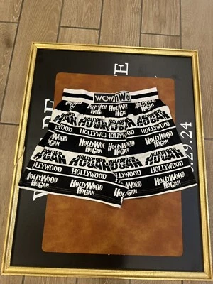 Vintage 90s WCW NWO  Wrestling Boxers Shorts Deadstock Unisex - Hollywood Hogan - Image 1 of 4