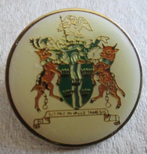 Thames Valley Police Coat of Arms Badge (5) - Picture 1 of 4