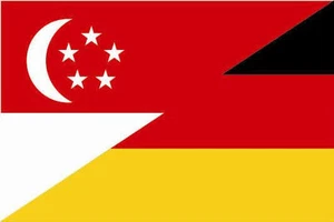 Pegatina Singapur-Alemania Bandera Bandera 8 x 5 cm Pegatina Coche Sticker - Imagen 1 de 1