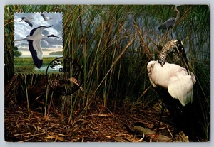 #4099c Southern Florida Wetland Wood Stork FDC Maxi Card - Picture 1 of 2