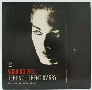 TERENCE TRENT D'ARBY - WISHING WELL - ELECTRONIC FUNK VINYL 12" PROMO - Picture 1 of 6