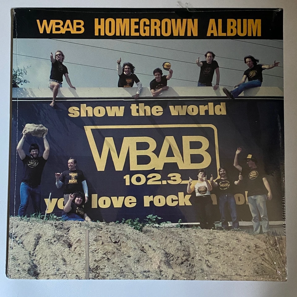 Various Artists WBAB Homegrown Album 1981 WBAB Broken Records NEW Sealed 12" LP - Image 1 of 2