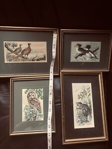 Cash's Woven Coventry Silk Framed Pictures  Rare Wild Life VGC X 4